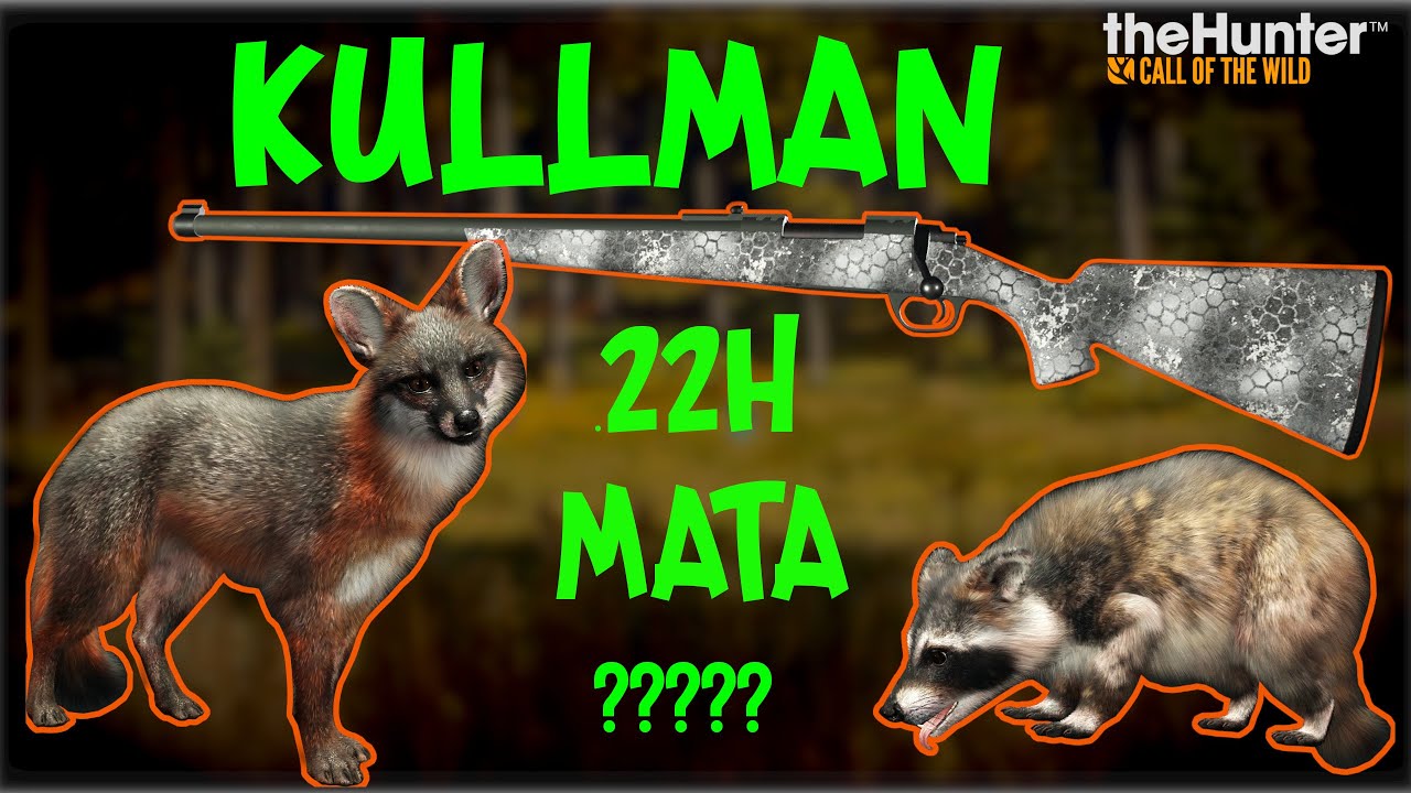 RIFLE KULLMAN .22H ESSA ARMA MATA ALGUMA COISA ? / The Hunter Call of