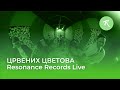   resonance records live