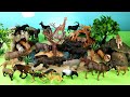 Fun Waterhole Dioramas And Safari Animal Figurines