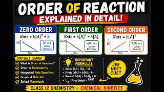Order of Reaction Explained in Detail | Zero, First &amp; Second Order | Class 12 Chemistry | JEE/NEET