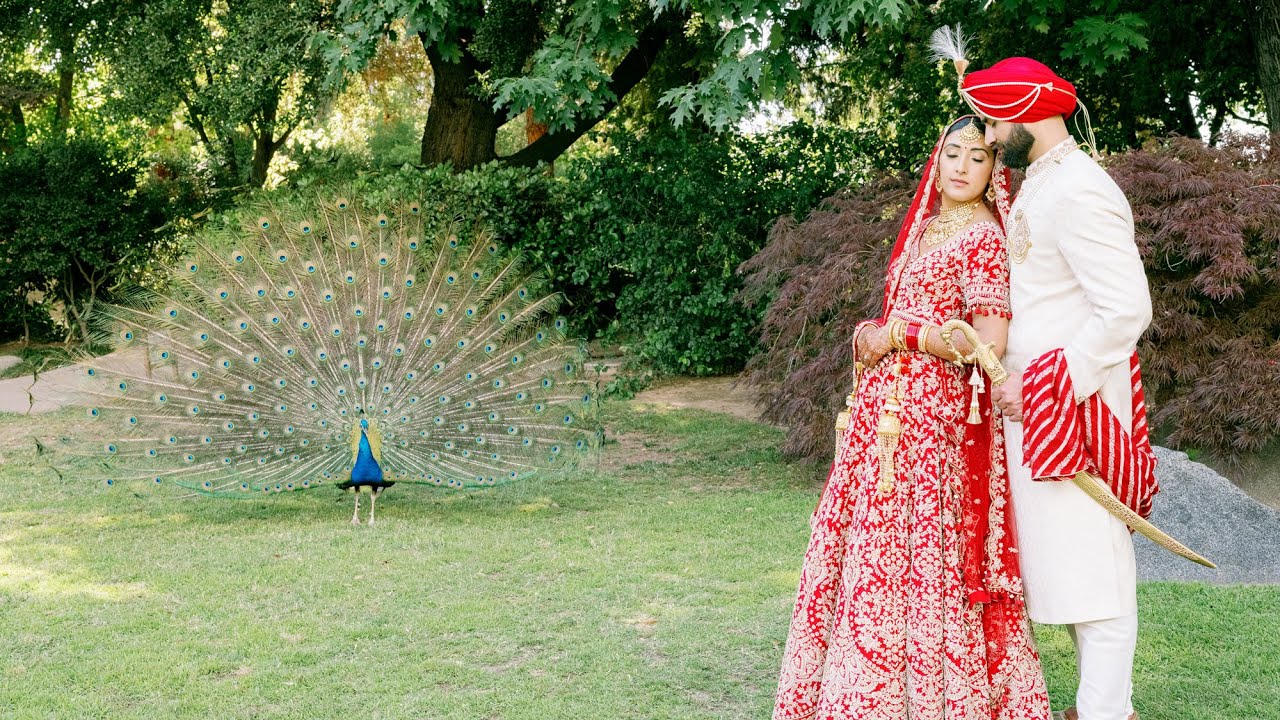 Arish & Simran // Wedding Next Day Edit