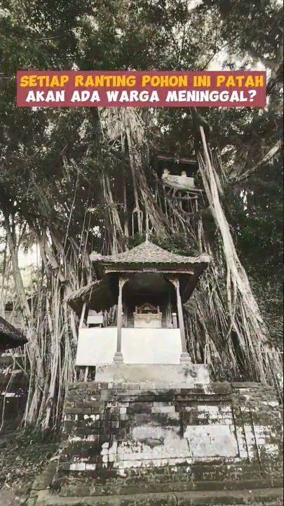 Gives You Goosebumps!!! Strange Myths About the Oldest Temple in Bali #shorts #viral #myths #scar...