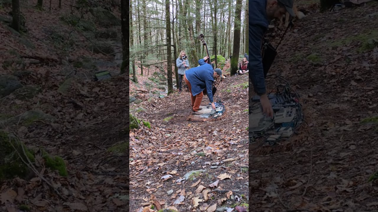 2025 Garth Stevenson