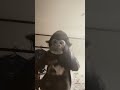 ゴリラはいつでも踊るんです#ゴリラ #踊ってみた #ダンス #shorts