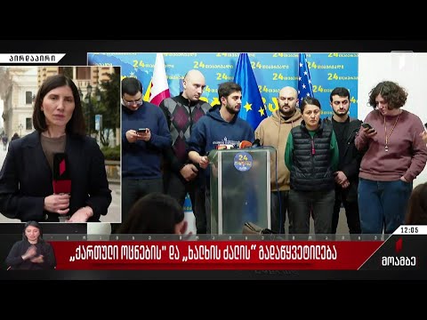 „ქართული ოცნებისა“ და „ხალხის ძალის“ გადაწყვეტილება - გამოხმაურება