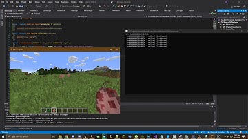 Minecraft Java Hooks