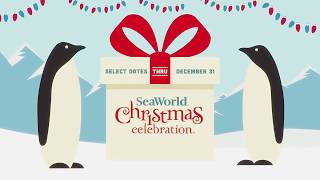 SeaWorlds Christmas Celebration | SeaWorld Orlando