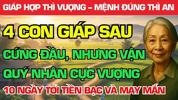 4 CON GIÁP 2025: CỨNG ĐẦU NHƯNG VẬN QUÝ NHÂN CỰC VƯỢNG, 10 NGÀY TỚI KHÔNG THIẾU TIỀN BẠC VÀ MAY MẮN