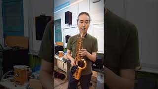 其實你不懂我的心 童安格 中音 薩克斯風 ALTO SAXOPHONE COVER 魔法大衛老師 #saxophone #music