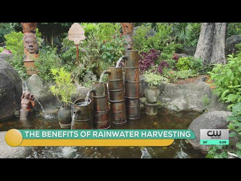 Harvesting Rainwater