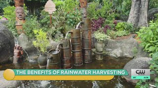 Harvesting Rainwater