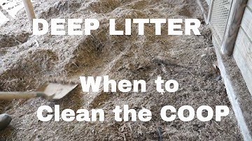 When To Clean Out A Deep Litter Method Of Bedding?