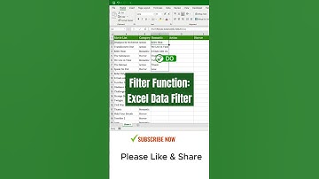 Filter Function for Excel Data Management | #excelfilter #exceltipsandtricks