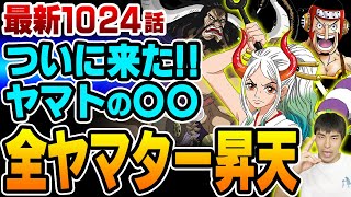 ゾロ は ルフィ の身代わりになるしかなかった 卑怯 という言葉のない海賊の世界で起きた勝率1 以下の理不尽な戦い One Piece ワンピース