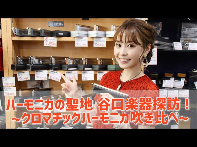ほのぼの工房のクロマチックハープ ほのぼの工房のクロマチックハープ ほのぼの工房の複弦ハープ