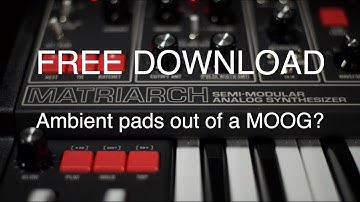 Turning my Moog Matriarch into an AMBIENT POLY SYNTH! FREE DOWNLOAD