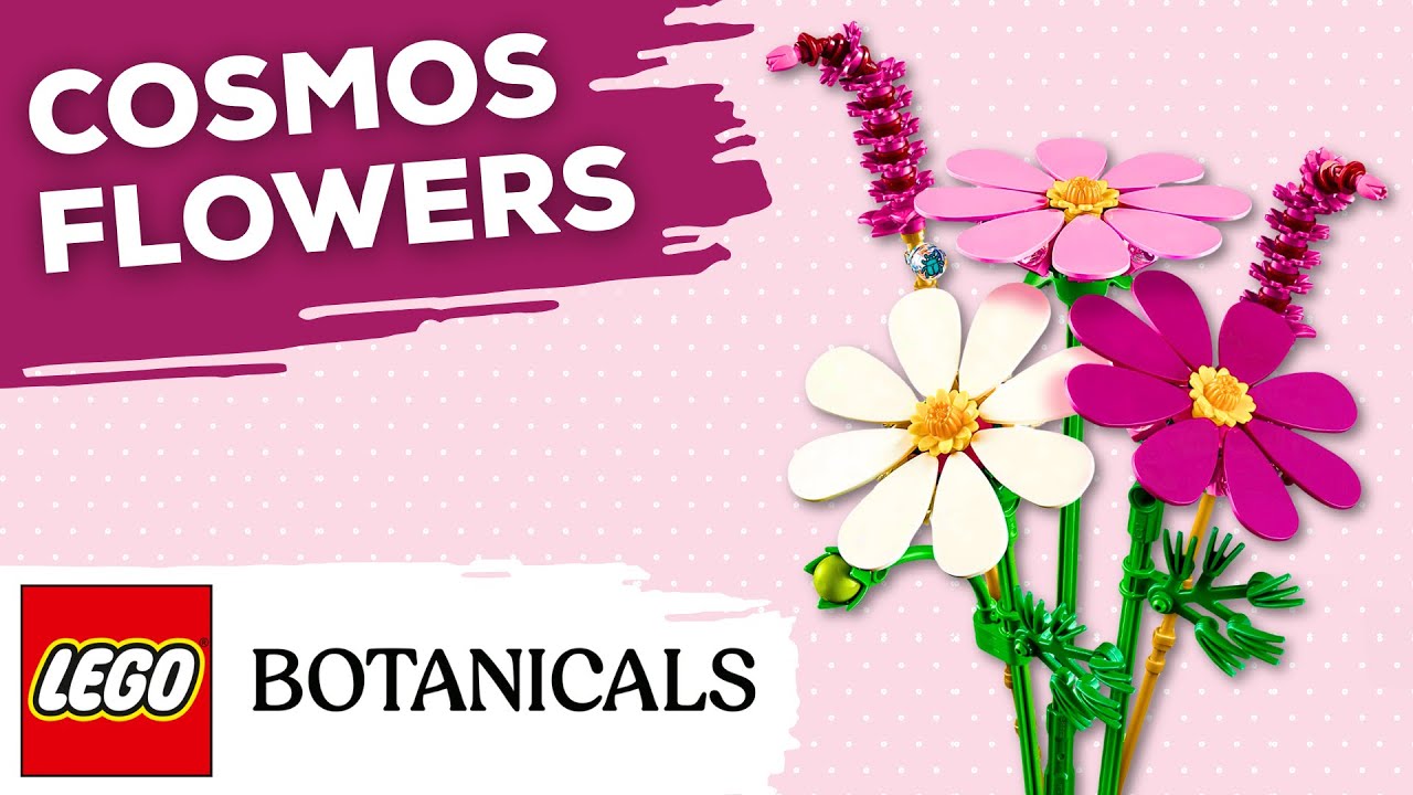 Lego Botanicals 11514 Cosmos Flowers (Unboxing & Review)
