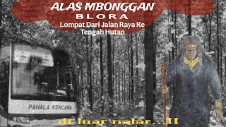 Download Lagu 🔴 [LIVE ] MENGUAK MISTERI ALAS MBONGGAN BLORA.. TUJUAN MENYESATKAN PARA PENGENDARA MENGAPA? MP3