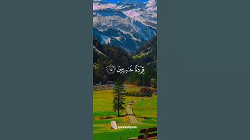 سورة البقرة القارئ #ياسر_الدوسري #فلسطين#السعودية#المغرب#مصر#الجزائر#تونس#ليبيا#موريتانيا#اكسبلور