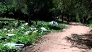 Viaje a Cortaderas y Villa Elena (San Luis)