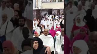 حج کے ارکان Piller of Islam #islamicvideo #اسلام