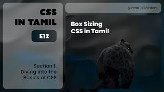 E12: Box Sizing | Diving into the Basics of CSS | CSS In Tamil
