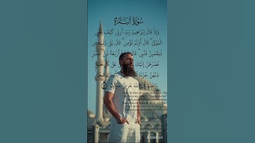اجمل صوت 🥺🤍 راحة 💫 استماع 🌹 القارئ محمد ديبيروف 💗✨ . تلاوة هادئة و مريحة لقلبك 🥺🤍✨
