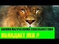 Какими магическими способностями обладает Лев?