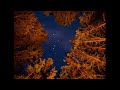 【ショートBGM】耳鳴り - 騒音のない世界