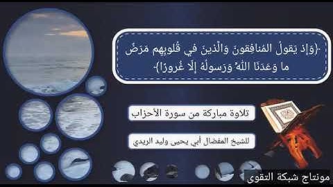 تلاوة مباركة من سورة الأحزاب للشيخ المفضال ابي يحيى وليد الريدي