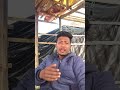 Expiry के दिन बड़ा profit होता  but sell 😭 #vlog #shorts #trading