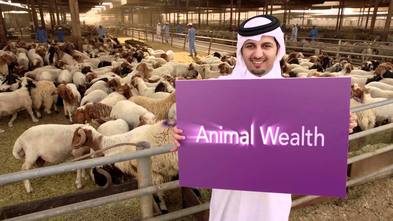 QDB Brand Film - English