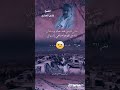 الشيخ شيال الحمول الثقالي الشيخ فارس الحباري الهيبة