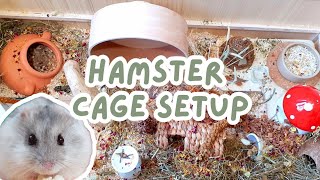 Setting up a New Hamster Enclosure! The PAWHUT cage