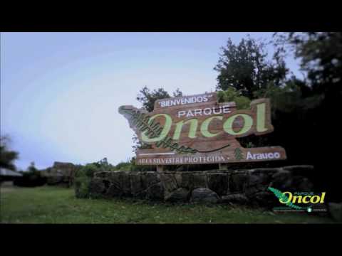 Parque Oncol • Refugio de Biodiversidad (english subtitles)