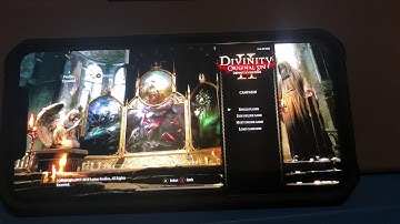 Divinity 2 running on iPhone XS Max with shadow @ 2668 x 1242