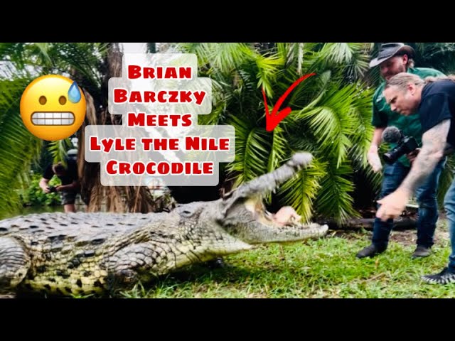 Lyle the Nile Crocodile meets @BrianBarczyk class=