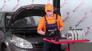 Naučte se dělat běžné opravy na autě Renault Scenic 1 - PDF pokyny a video tutoriály