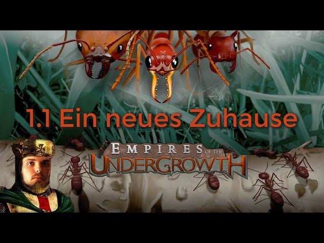 Ein neues Zuhause | Mission 1.1 | Empires of the Undergrowth | Let's Play class=