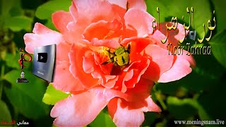 معنى اسم #نورُ #الزهراء وصفات حاملة هذا الاسم #Noor Zahraa