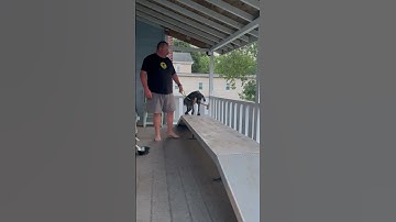 Force fetch progress