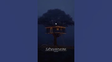 ارح سمعك وقلبك🥹 #القرآن_الكريم #اكتب_شي_تؤجر_عليهہَ_ #تلاوة_خاشعة