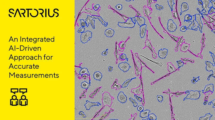 Label-Free Quantification of Cell Growth and Morphology Using AI and Advanced Data Analytics