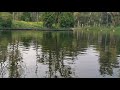 Patos en el Lago artificial de Chapultepec 2