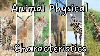 Animal Physical Characteristics | Animal Body Structure | Animal Body Features | Science for Kids