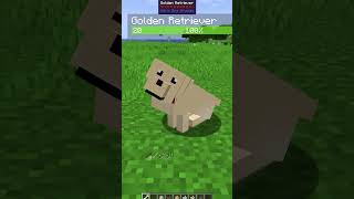 cara punya anjing yang pintar di minecraft