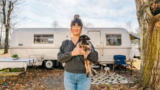 Interior Designer Shares Her Cozy Rv Tiny Home