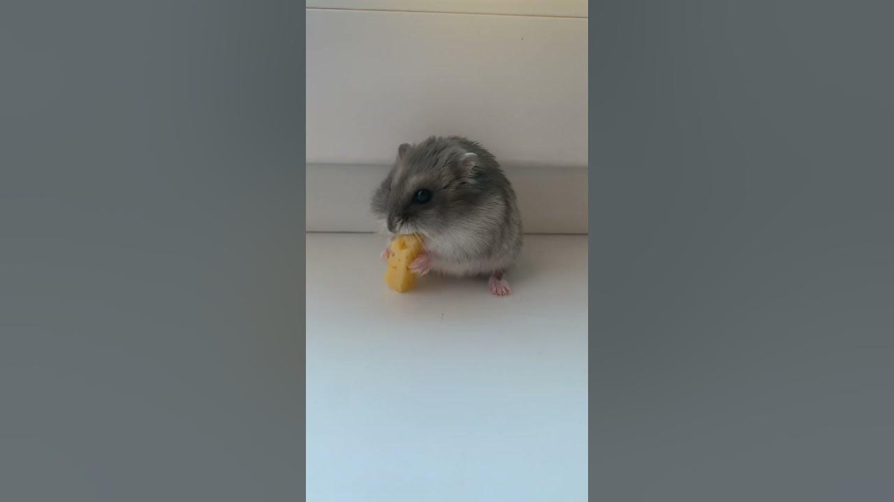 Семочка ️ ️ ️ - YouTube