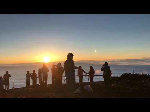 Vídeo: As Melhores Coisas Para Fazer Com Crianças No Japão, Do Monte Fuji A Kyoto