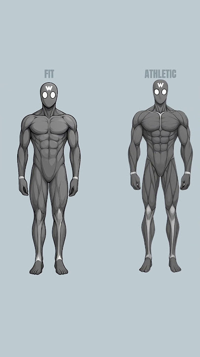 Download lagu What’s Your Physique Level?